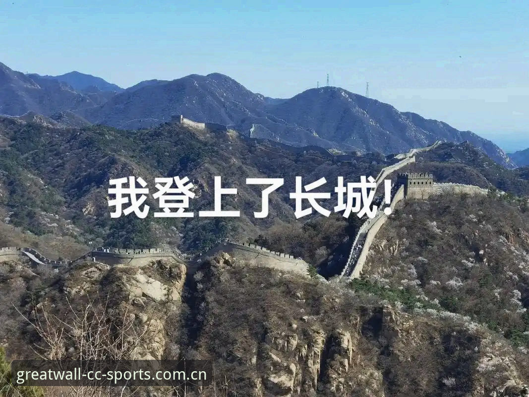 长城体育官网入口APP下载最新动态：从数据追踪到赛事决策的全链路优化